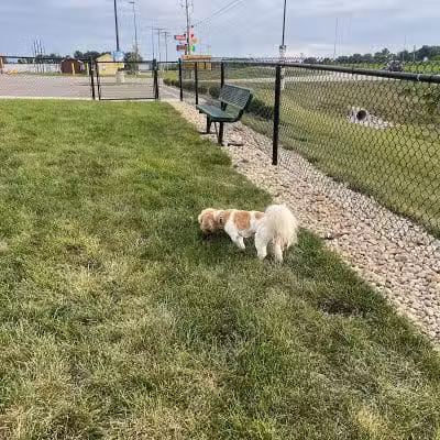 Dog Park at Love's Travel Stops - Lancaster, OH