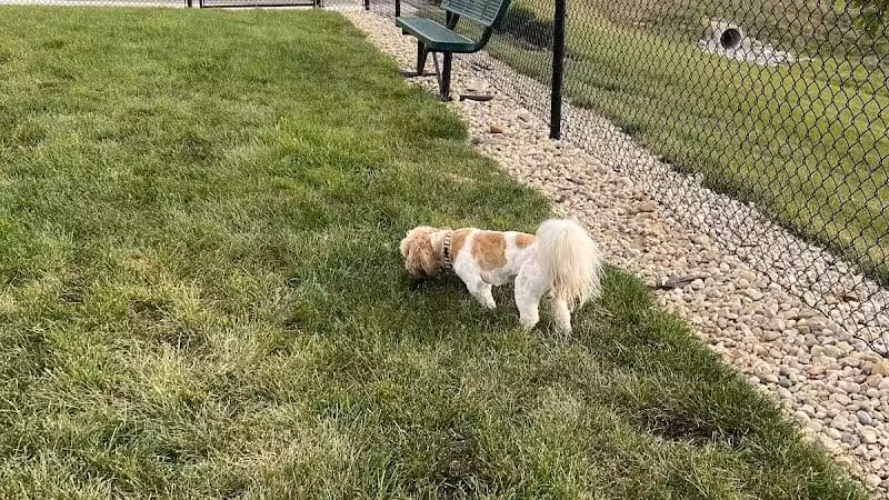 Dog Park at Love's Travel Stops - Lancaster, OH