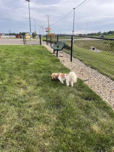 Dog Park at Love's Travel Stops - Lancaster, OH