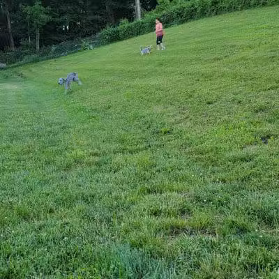 Fairfield Area Humane Society Public Dog Park - Lancaster, OH