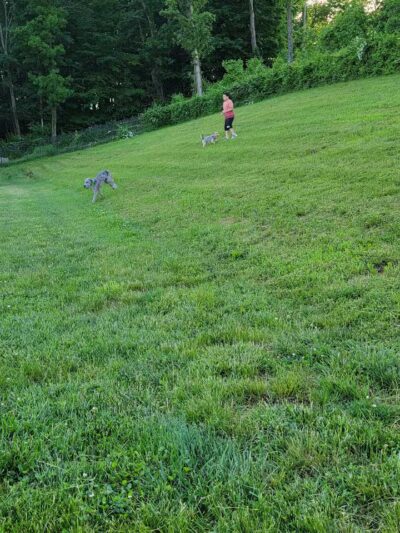 Fairfield Area Humane Society Public Dog Park - Lancaster, OH