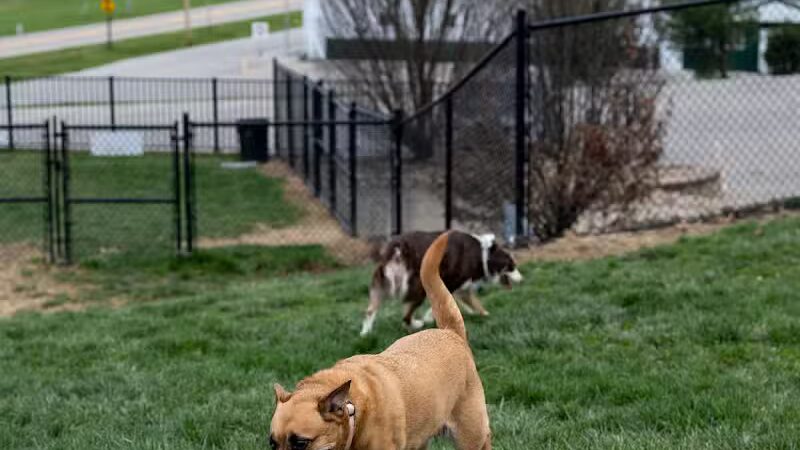 Fairfield Area Humane Society Public Dog Park - Lancaster, OH