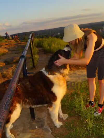 Mount Pleasant in Rising Park - Lancaster, OH