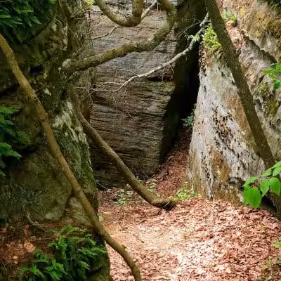 Rhododendron Cove State Nature Preserve - Lancaster, OH