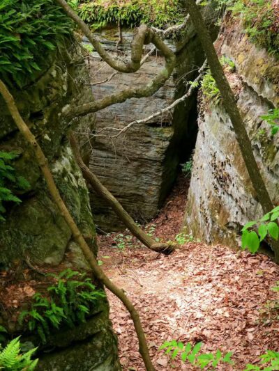 Rhododendron Cove State Nature Preserve - Lancaster, OH