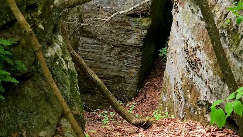 Rhododendron Cove State Nature Preserve - Lancaster, OH