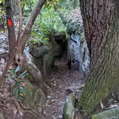Rhododendron Cove State Nature Preserve - Lancaster, OH