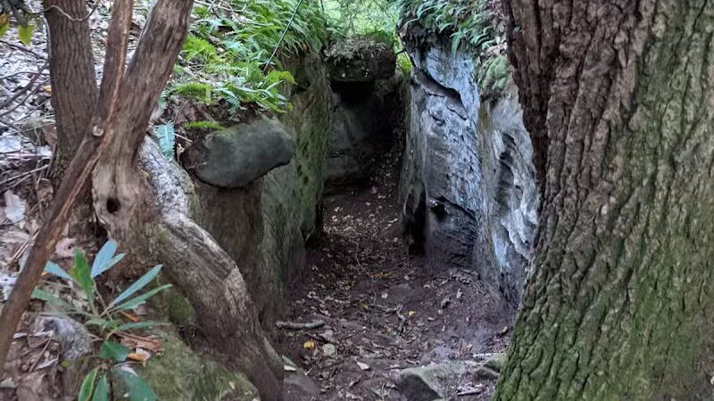 Rhododendron Cove State Nature Preserve - Lancaster, OH