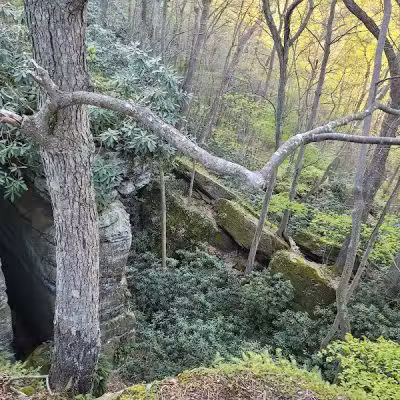 Rhododendron Cove State Nature Preserve - Lancaster, OH