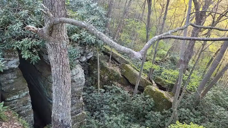 Rhododendron Cove State Nature Preserve - Lancaster, OH