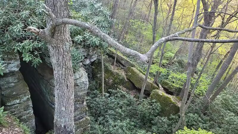 Rhododendron Cove State Nature Preserve - Lancaster, OH