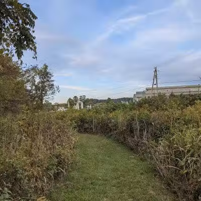 Rhododendron Cove State Nature Preserve - Lancaster, OH