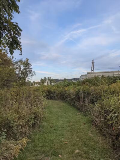 Rhododendron Cove State Nature Preserve - Lancaster, OH