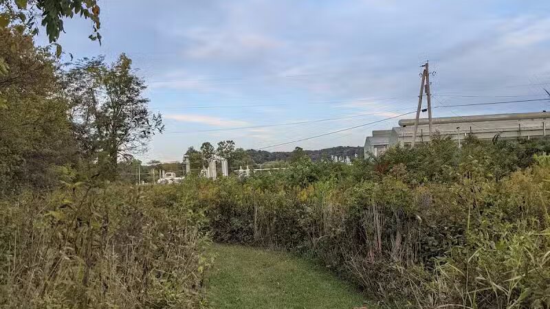 Rhododendron Cove State Nature Preserve - Lancaster, OH