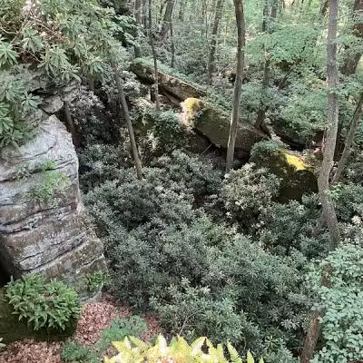 Rhododendron Cove State Nature Preserve - Lancaster, OH