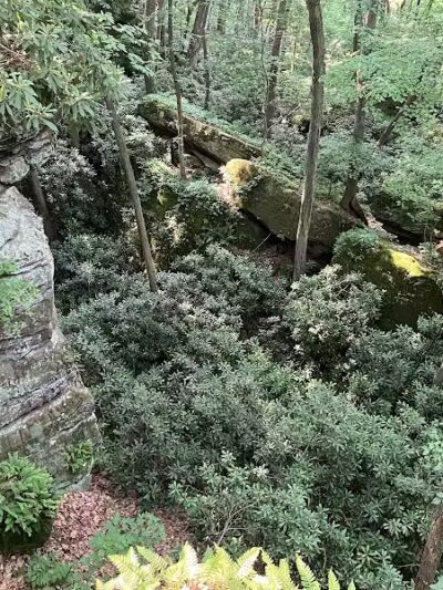 Rhododendron Cove State Nature Preserve - Lancaster, OH