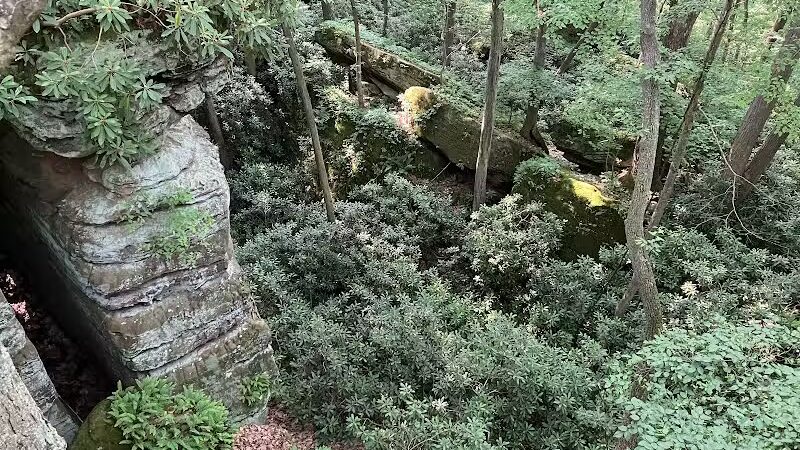 Rhododendron Cove State Nature Preserve - Lancaster, OH