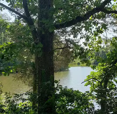 Cave Lake Park - Latham, OH