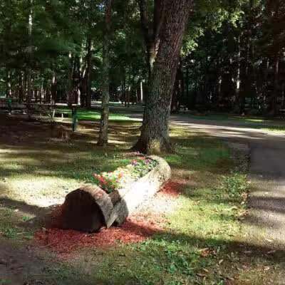 Pike State Forest - Latham, OH