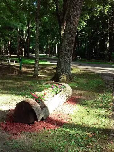 Pike State Forest - Latham, OH