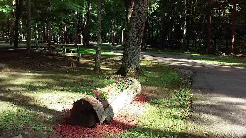 Pike State Forest - Latham, OH