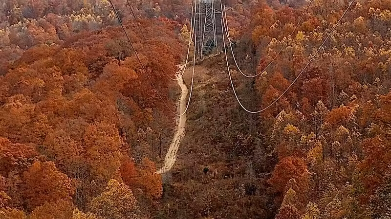 Pike State Forest - Latham, OH