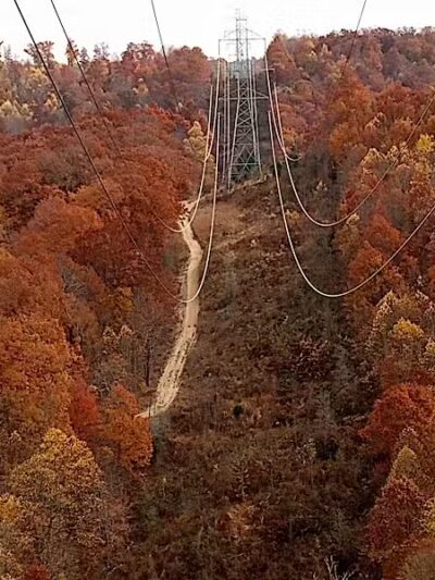 Pike State Forest - Latham, OH