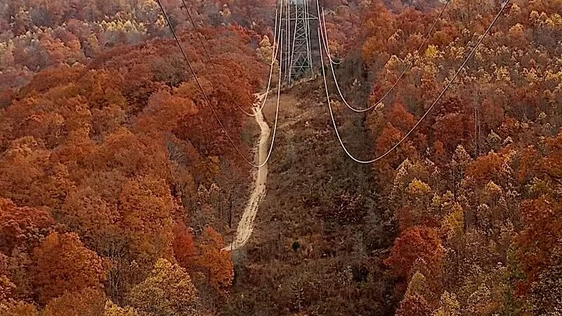 Pike State Forest - Latham, OH