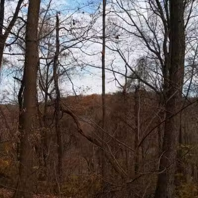 Pike State Forest - Latham, OH
