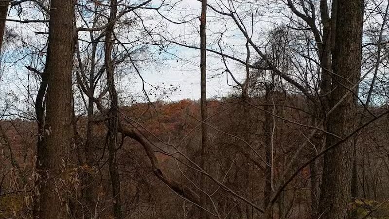 Pike State Forest - Latham, OH