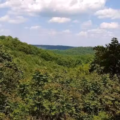 Pike State Forest - Latham, OH