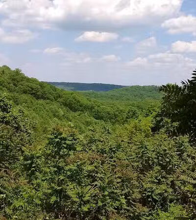 Pike State Forest - Latham, OH