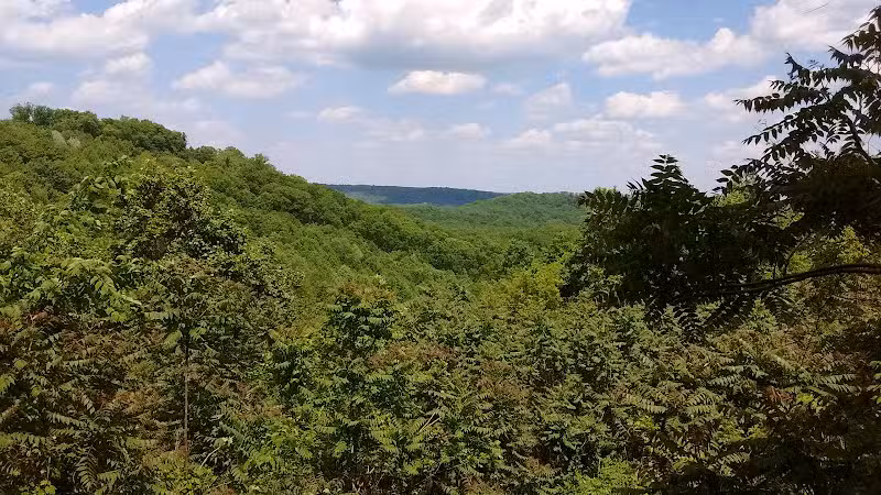 Pike State Forest - Latham, OH