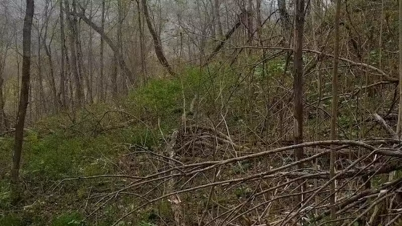 Pike State Forest - Latham, OH