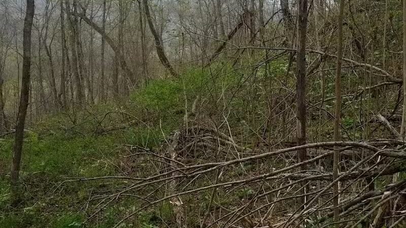 Pike State Forest - Latham, OH