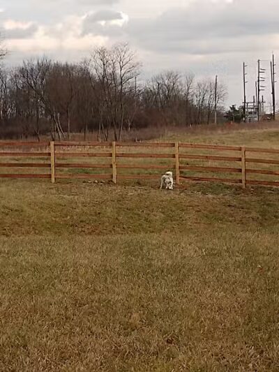 Friends of Lauren Hill Memorial Park - Lawrenceburg, IN