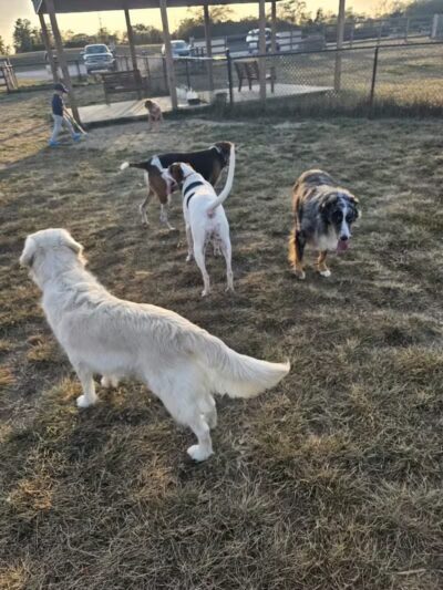 Friends of Lauren Hill Memorial Park - Lawrenceburg, IN