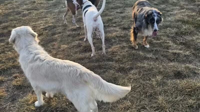 Friends of Lauren Hill Memorial Park - Lawrenceburg, IN