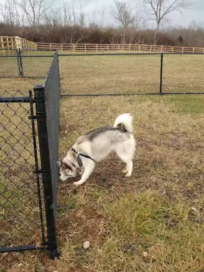 Friends of Lauren Hill Memorial Park - Lawrenceburg, IN