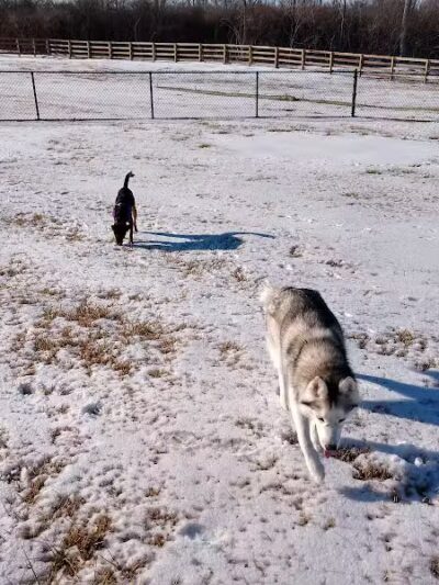 Friends of Lauren Hill Memorial Park - Lawrenceburg, IN