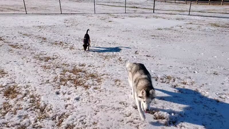 Friends of Lauren Hill Memorial Park - Lawrenceburg, IN