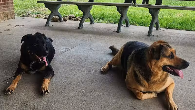 Gus's Dog Park - Lawrenceburg, IN
