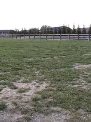 Ida Juris Bennett Dog Park - Lebanon, OH