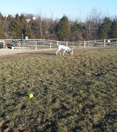 Ida Juris Bennett Dog Park - Lebanon, OH