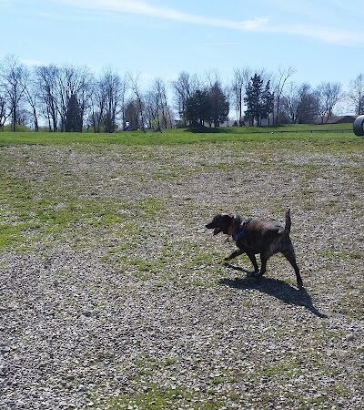 Ida Juris Bennett Dog Park - Lebanon, OH