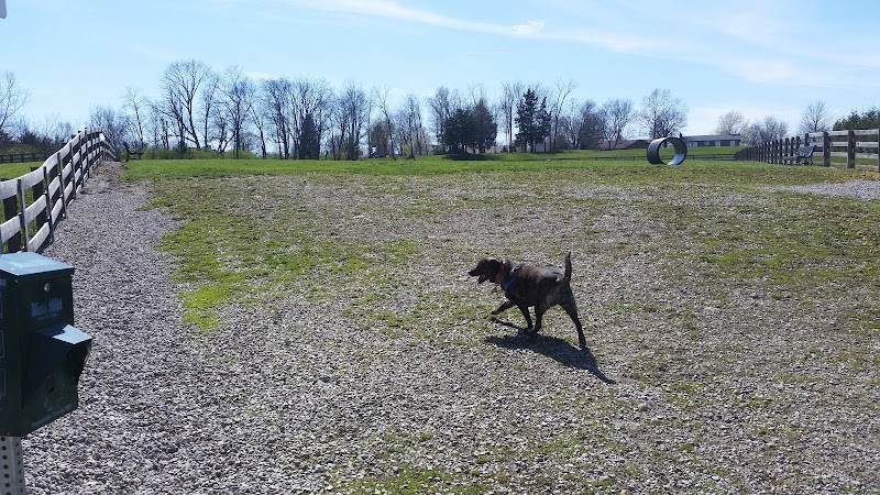 Ida Juris Bennett Dog Park - Lebanon, OH