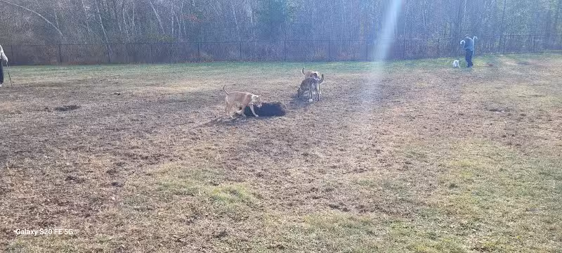 Friend Lee Pets Dog Park - Lee, NH