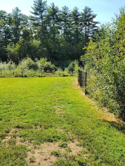 Friend Lee Pets Dog Park - Lee, NH