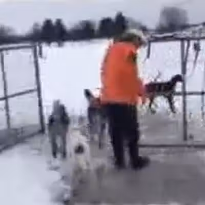 Hazey Acres K9 Boarding - Leetonia, OH