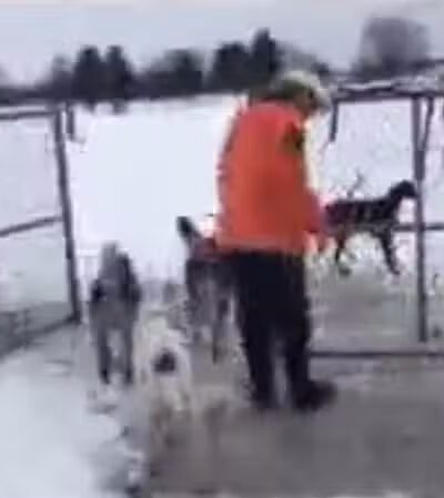 Hazey Acres K9 Boarding - Leetonia, OH